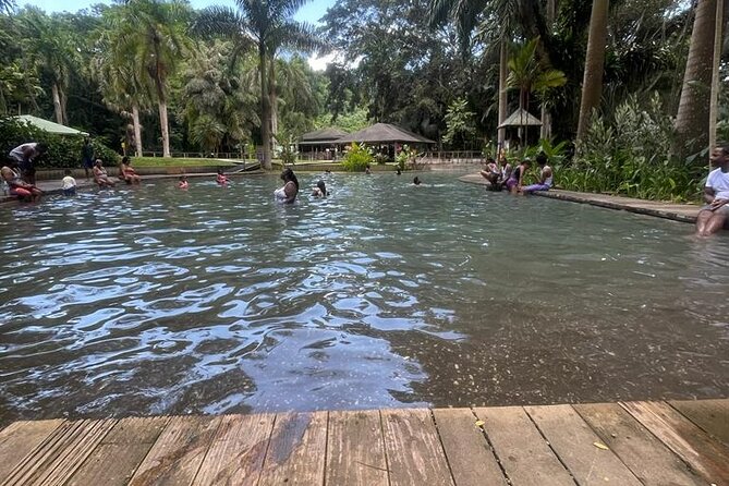 YS Falls, Black River Safari, Appleton Rum Tour OR Pelican Bar (Choose Up to 3) - How to build the right three-stop combination