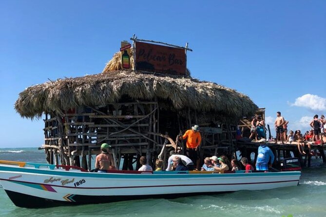 YS Falls, Black River Safari, Appleton Rum Tour OR Pelican Bar (Choose Up to 3) - Food, timing, and what to bring