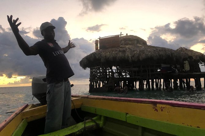 YS Falls, Black River Safari, Floyd’s Pelican Bar - Black River: a quieter hour on the water