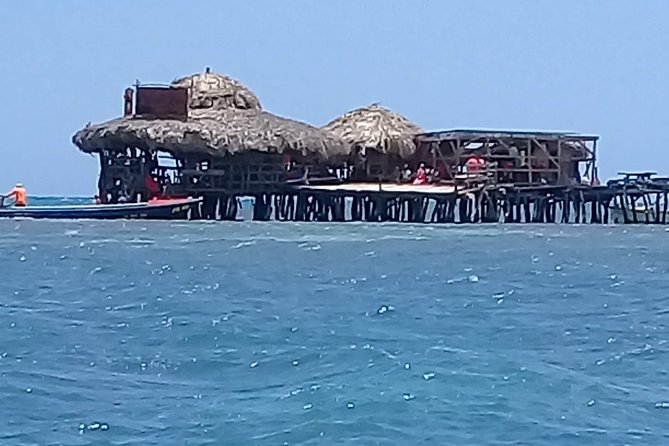 YS Falls & Pelican Bar Tour - The guide can shape the whole day