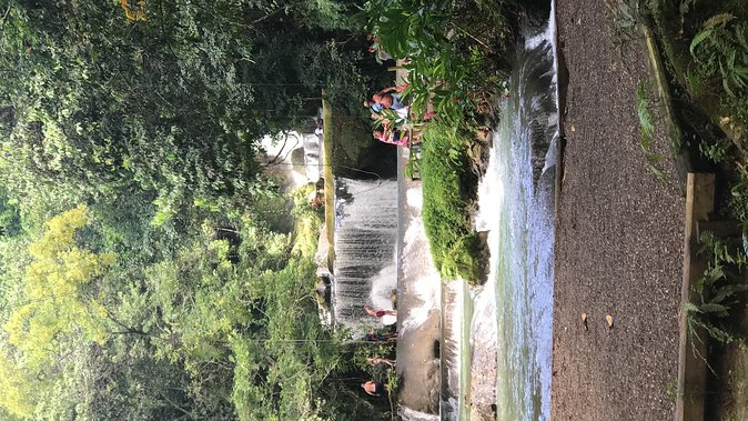 YS Falls Private Full-Day Adventure Tour with Pickup - The long road from Negril to YS Falls
