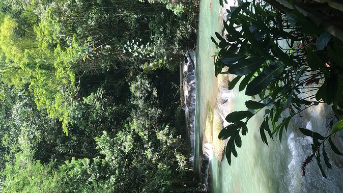 YS Falls Private Full-Day Adventure Tour with Pickup - Swimming options for confident and non-swimmers
