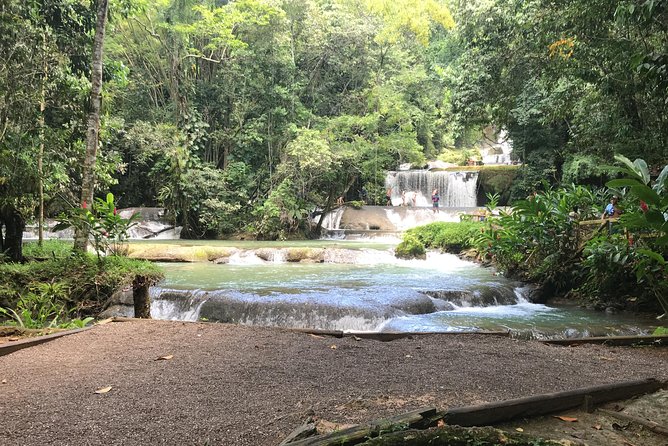 YS Falls Private Full-Day Adventure Tour with Pickup - Why a private guide changes the day