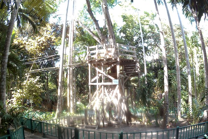 Zip Line over the Dunns River Falls - Starting from Montego Bay at 9:00 am