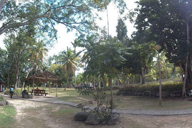 Zip Line over the Dunns River Falls - Exploring the terraced waterfalls afterward