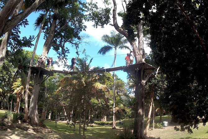 Zip Line over the Dunns River Falls - What the $192.67 price includes