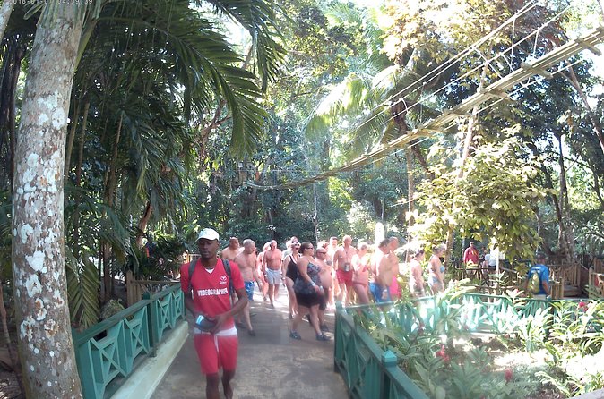Zip Line over the Dunns River Falls - Safety, comfort, and the physical side