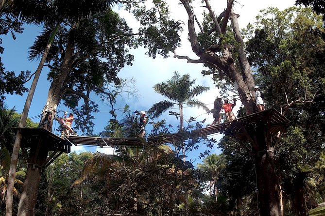 Zip Line over the Dunns River Falls - How the private format changes the day