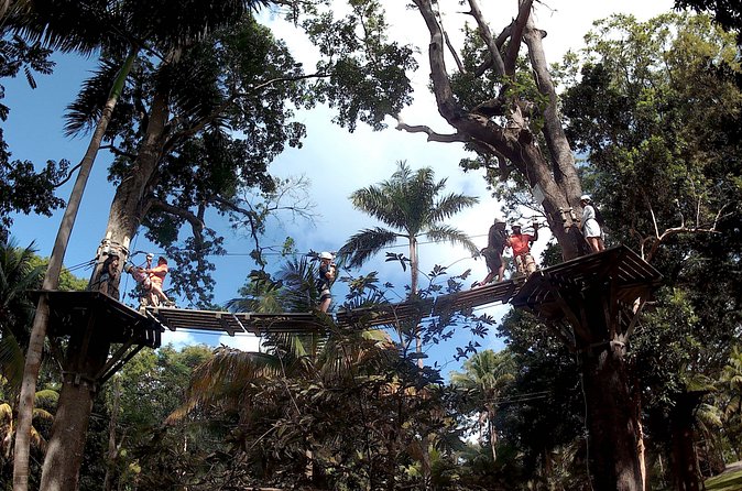 Zip Line over the Dunns River Falls - Booking timing and the no-refund rule