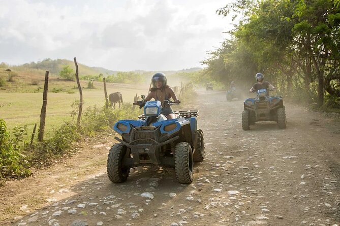 Zip-lining/Horseback Rides/Cat & Atv Inclusive Act with Transpo From Montego Bay - One Jamaican day, several kinds of adventure