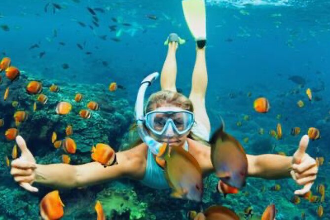 Zip-lining/Horseback Rides/Cat & Atv Inclusive Act with Transpo From Montego Bay - Horseback riding takes you into the sea