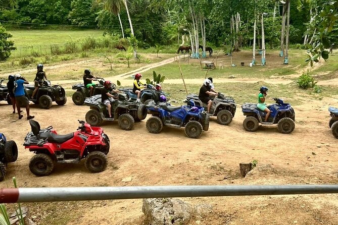 Zipline, Horseback Ride and Swim and Quad ATV bike in Negril - The personal service from Kings Tour Ja